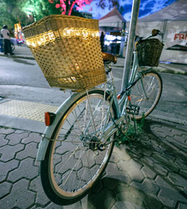 Bike-300h.jpg